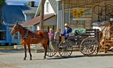 Amish,Couple,In,Horse,And,Buggy,In,Shipshewana,Indiana.,Created