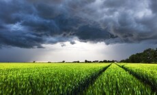 Dark,Rain,Cloud,With,Storm,Over,A,Green,Field,With