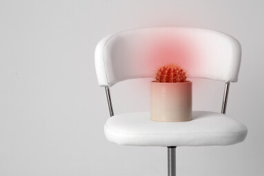 Hemorrhoid,Concept.,Chair,With,Cactus,Isolated,On,White