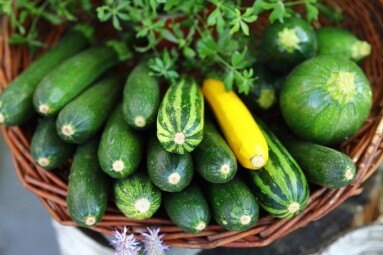 Zucchini,,Green,,Green,And,Yellow,Zucchini,,Colorful,Vegetables,,Healthy,Eating,