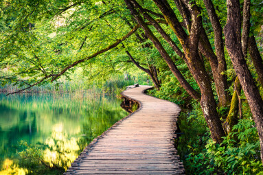 Picturesque,Morning,In,Plitvice,National,Park.,Colorful,Spring,Scene,Of