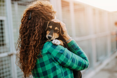 Young,Adult,Woman,Holding,Adorable,Dog,In,Animal,Shelter.