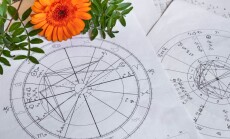 Printed,Astrology,Charts,,Gerbera,And,Green,Plant,Branches,In,The