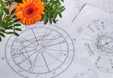 Printed,Astrology,Charts,,Gerbera,And,Green,Plant,Branches,In,The