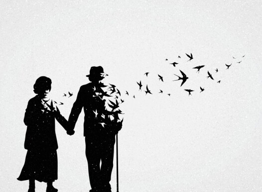 Elderly,Couple,Silhouette.,Death,And,Afterlife.,Flying,Swallows,Flock