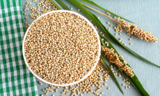 Healthy,Food,Sorghum,And,Sorghum,Leaves,And,Seed,Heads.