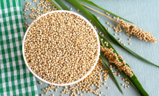 Healthy,Food,Sorghum,And,Sorghum,Leaves,And,Seed,Heads.