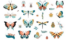 Isolated,Insects,,Butterfly,And,Caterpillars.,Beetle,Garden,,Funny,Decorative,Butterflies.