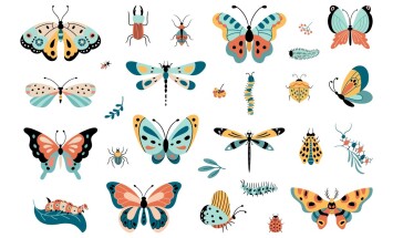 Isolated,Insects,,Butterfly,And,Caterpillars.,Beetle,Garden,,Funny,Decorative,Butterflies.