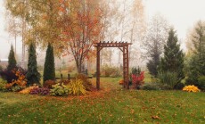 Autumn,Garden,View,In,October,With,Wooden,Archway.,Rustic,Natural