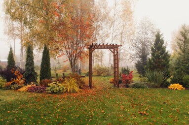 Autumn,Garden,View,In,October,With,Wooden,Archway.,Rustic,Natural