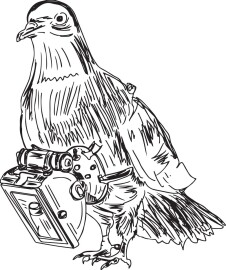 Spy,Pigeon,Vector,Illustration,And,Clip,Art,,Pigeon,Wearing,Spy