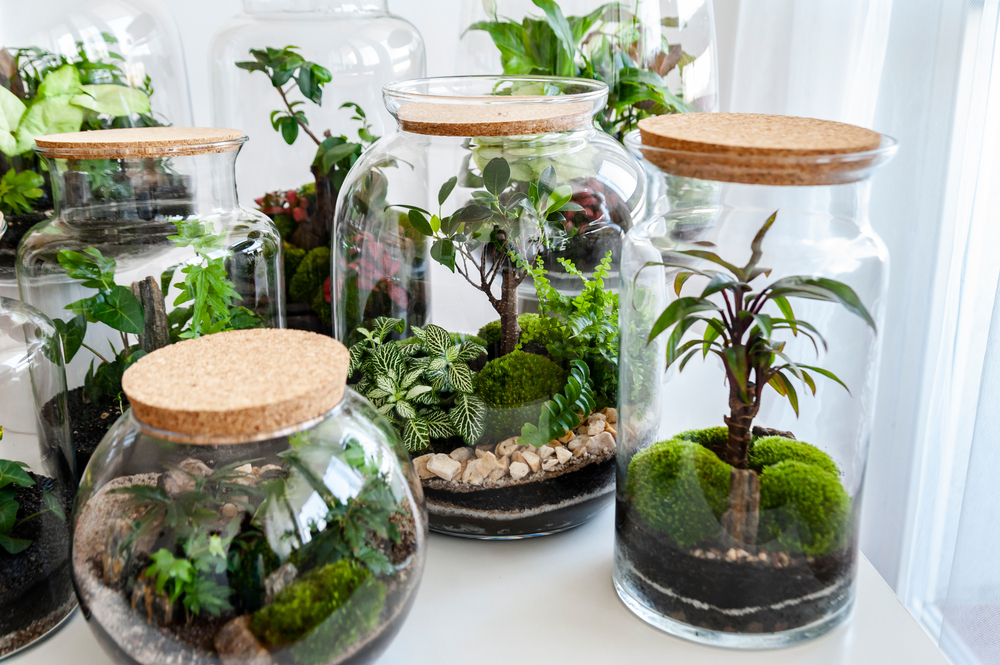 Small,Decoration,Plants,In,A,Glass,Bottle/garden,Terrarium,Bottle/,Forest