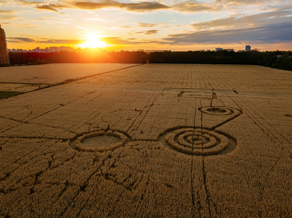 Mysterious,Crop,Circle,In,Oat,Field,Near,The,City,At