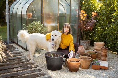 Young,Woman,Hugs,With,Her,Adorable,Dog,While,Planting,Flowers