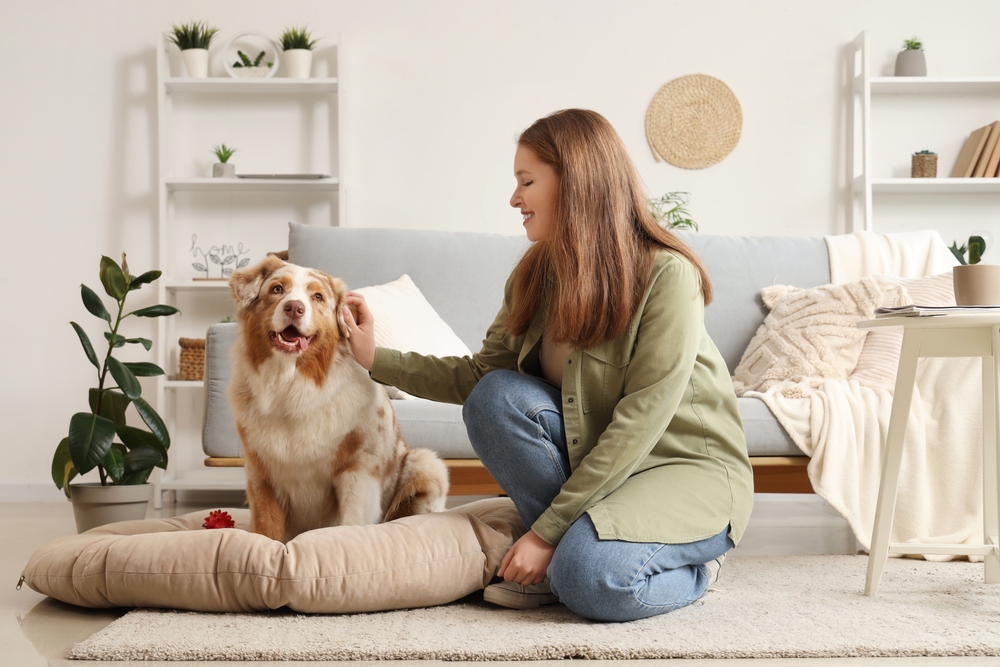 Young,Woman,With,Cute,Australian,Shepherd,Dog,On,Pet,Bed