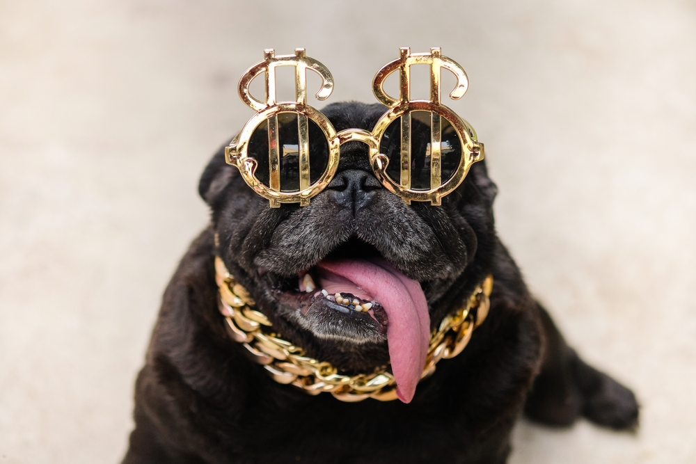 Super,Rich,Pug,Dog.(?black,Funny,Pug,Dog,Sitting,With,Gold