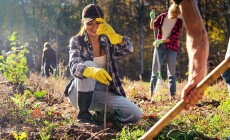 Young,Happy,Caucasian,Woman,Bringing,Seedling,Of,Tree,And,Man