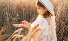 little blonde girl in beige muslin dress holds wheat grains in the palm of her hand in wheat field on sunset