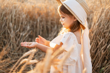 little blonde girl in beige muslin dress holds wheat grains in the palm of her hand in wheat field on sunset