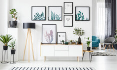 Botanical,Posters,On,The,Wall,In,A,Living,Room,Interior