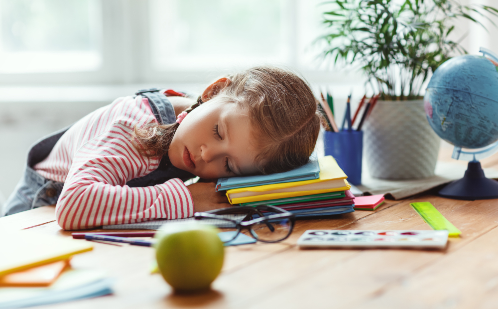 Tired,Child,Girl,Fell,Asleep,When,She,Did,Her,Homework,