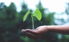 Kaip „antras gyvenimas“ daiktams padeda sutaupyti pinigų ir planetai