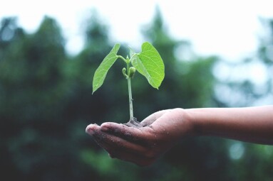Kaip „antras gyvenimas“ daiktams padeda sutaupyti pinigų ir planetai