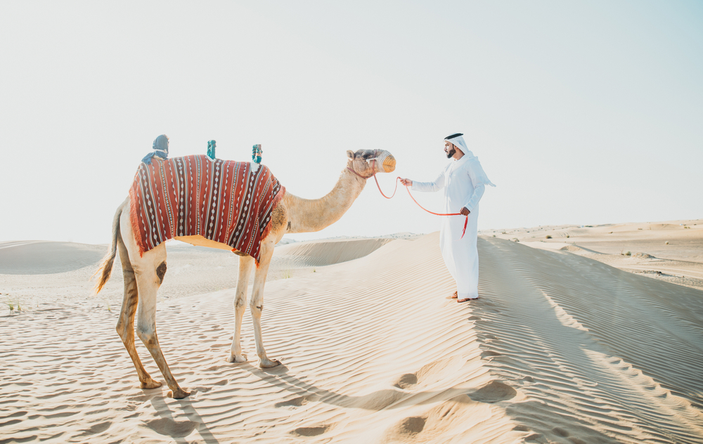 Man,Wearing,Traditional,Clothes,,Taking,A,Camel,Out,On,The