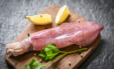 Fresh,Squids,Octopus,Or,Cuttlefish,For,Cooked,Food,Salad,Restaurant