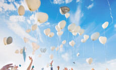 Several,Baloons,Flying,In,Blue,Sky