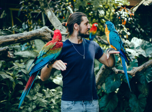 Young,Handsome,Man,With,A,Beard,Posing,In,The,Zoo