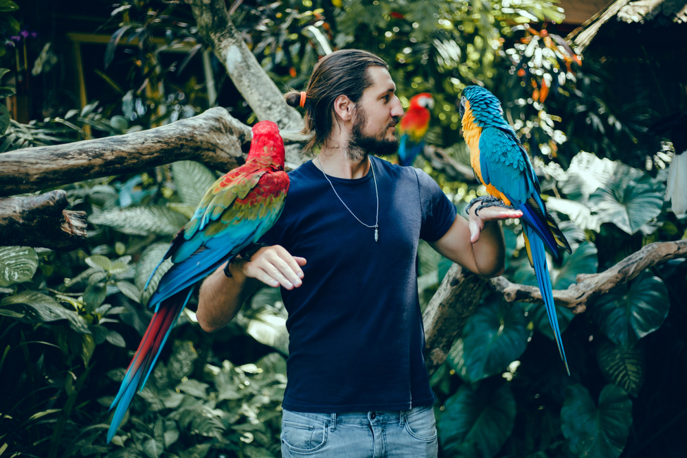 Young,Handsome,Man,With,A,Beard,Posing,In,The,Zoo