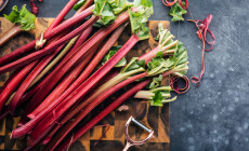 Chopped,Fresh,Rhubarb,On,Dark,Stone,Background.,Top,View.,Free