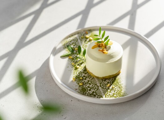 Vegan,Gluten,Free,Low,Calorie,Dessert.,Round,Pistachio,Mousse,Cake