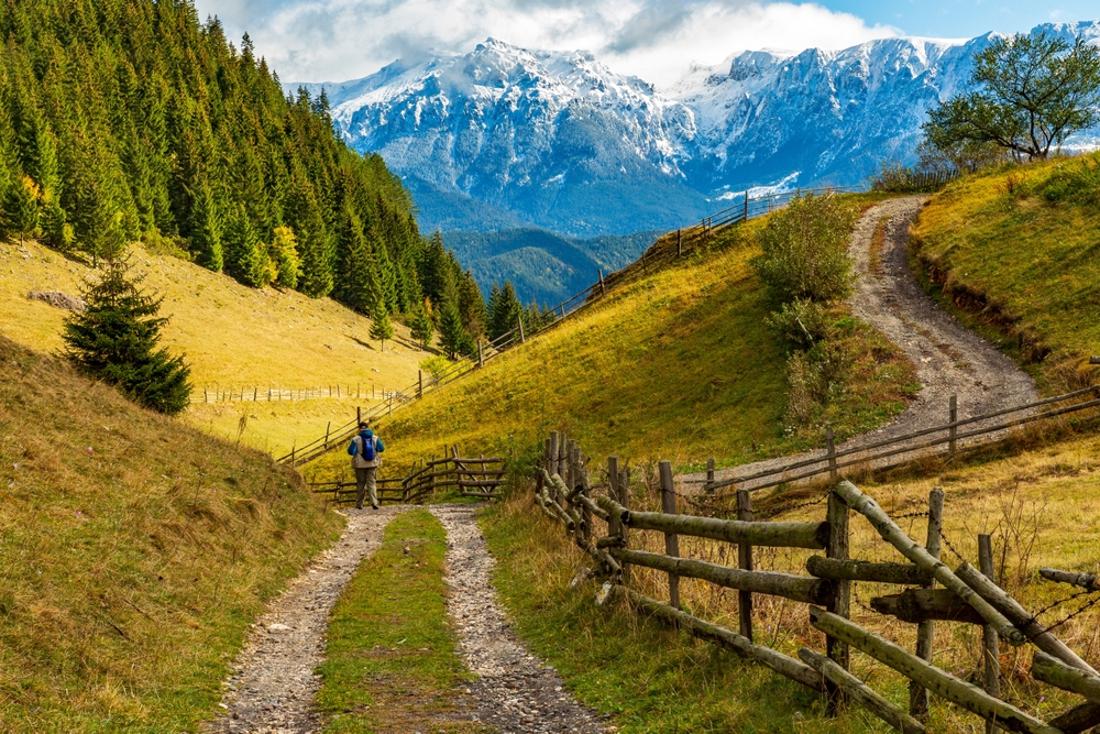 Europe,,Romania,,Transylvania,,Carpathian,Mountains.,Hill,Sides,,Hiking,Trails,,Fields.