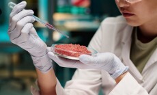 Female,Researcher,Adding,Pink,Liquid,To,Meat,Sample,Using,Pipette