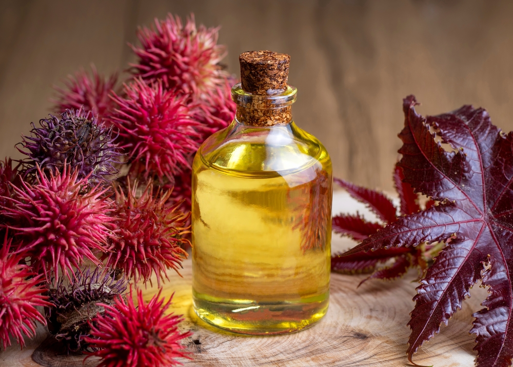 Castor,Oil,Bottle,With,Castor,Fruits,,Seeds,And,Leaf.,Ricinus