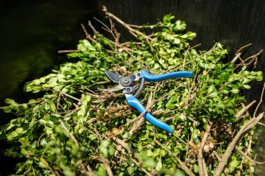 Green,Garden,Waste,And,Blue,Pruner,In,Bin.,Spring,Garden