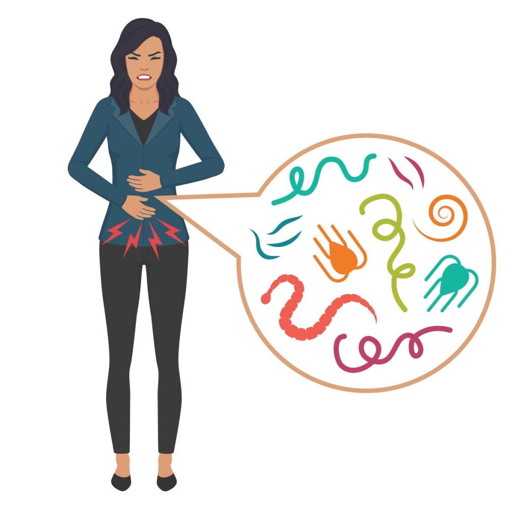 Vector,Illustration,Of,A,Human,Intestinal,Parasites,,Worm,Disease