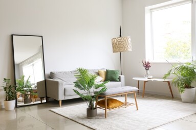 Interior,Of,Light,Living,Room,With,Comfortable,Sofa,,Houseplants,And