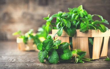 Mint.,Bunch,Of,Fresh,Green,Organic,Mint,Leaf,On,Wooden