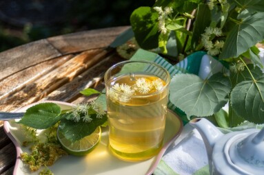 Linden,Flowers,,Linden,Tea,,Herbal,Medicine,,Alternative,Medicine