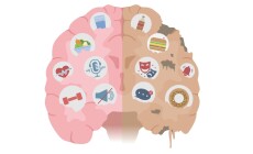 Healthy,Brain,With,Good,Habit,Compare,Brain,Rot,With,Bad