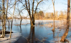 Spring,Floods,,The,Lake,Overflowed,In,The,Spring,When,The