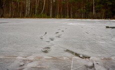 Frozen,Lake,In,Spring,With,Melting,Ice,,Footprints,Visible,On