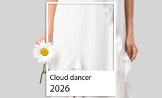 Young,Woman,With,Chamomile,Flower,On,Light,Background.,Cloud,Dancer