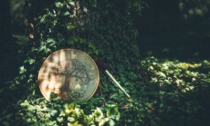 Shamanic,Drum,In,Nature,,Shamanic,Drum,Made,Of,Deer,Goat.