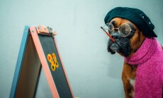Dog,Painting,A,Picture.,Artist,Dog