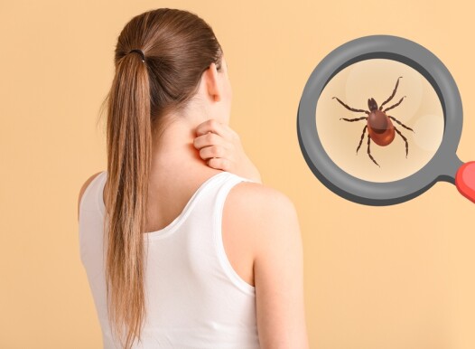 Young,Woman,Scratching,Her,Skin,And,Tick,Visible,Through,Magnifying